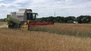 Claas Lexion-460 Evolution 2018.
