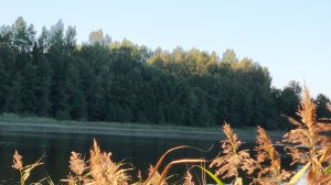 Участок на первой линии озера Бологое 1гектар. поселок Подлипье