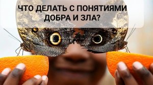 ЧТО ДЕЛАТЬ С ПОНЯТИЯМИ ДОБРА И ЗЛА?