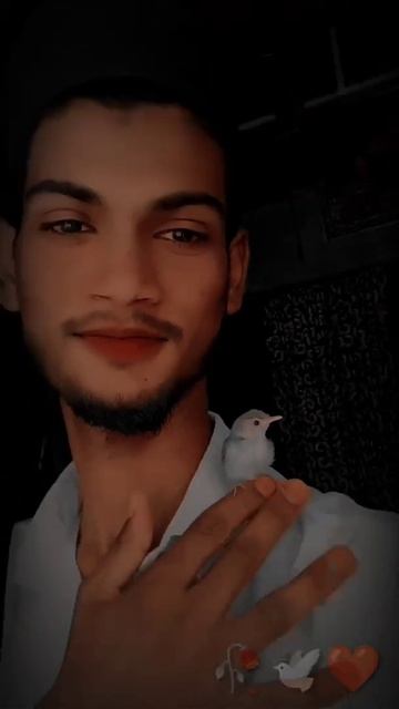 alfa alam status video for Instagram