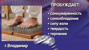 VID_20250129_181617_627