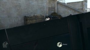 Dishonored прохождение часть 1 возращение домой без убийств