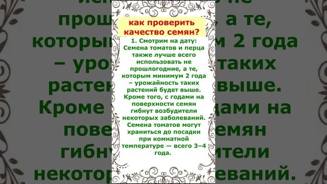 Когда сеять Помидоры на рассаду.Калибровка семян.Не упустите время!