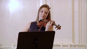 Г.Доницетти Соната для скрипки и арфы g-moll.mp4