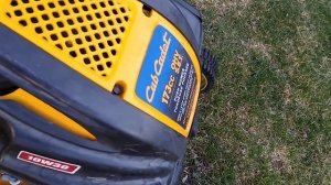 Cub Cadet 173cc Engine