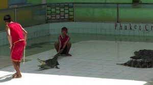 Пхукет крокодиловая ферма