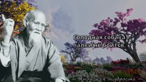 Японские пословицы и поговорки, которые стоит послушать!