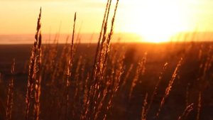 Восход солнца