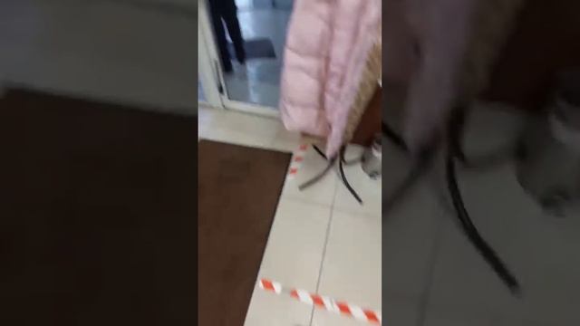 продолжаем знакомство в Курском)