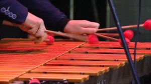 Уникальный Терменвокс и Вибрафон. Болеро Алексея Чижика