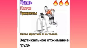 Техника выполнения 💥 Вертикальное отжимания • Грудь  ✅️ 💪🙂