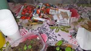 Мои покупки для дачного сезона.# моипокупкидлядачногосезона#