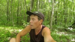 Серия 39. Велопутешествие 2023 "Направление ЮГ". Дорога Псебай - Сторожевая. Велодальняк