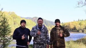 Тайга в сентябре
