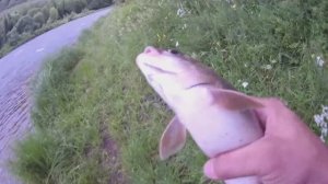 Душевное занятие. Таёжная рыбалка с ночёвкой.