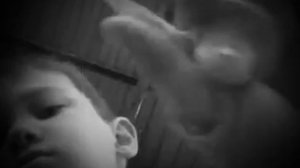 нехочуха мультфильм для детей (1997) год