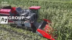 Комбайн для уборки сладкой кукурузы#комбайн #кукуруза #уборка