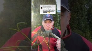 Как правильно работать триммером