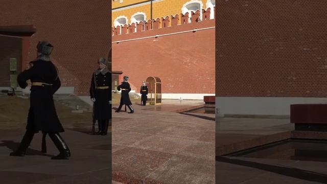 Смена почетного караула у Вечного Огня смотреть онлайн