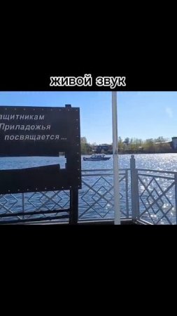 залив. #семейныйканал #карелия #блог