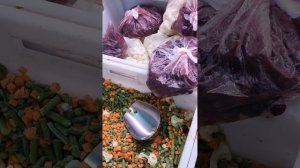 Народный магазин Санкт Петербурга