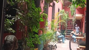 Healing dog hostel Miraflores Lima Peru