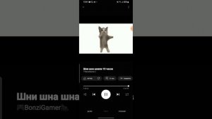 шни шна шнапи 10 часов