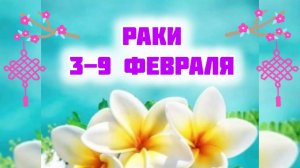 РАКИ. Неделя 3-9 февраля.