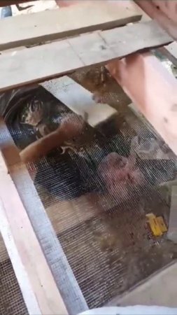 КАК ИЗБАВИТЬСЯ ОТ МЫШЕЙ В КАРКАСНОМ ДОМЕ | СЕТКА ОТ МЫШЕЙ
