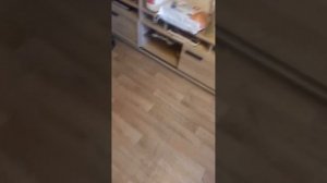 Работа пылесоса ILIFE W 400