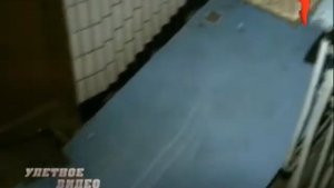 Лошадь застряла в подъезде 🔴 Не для слабонервных