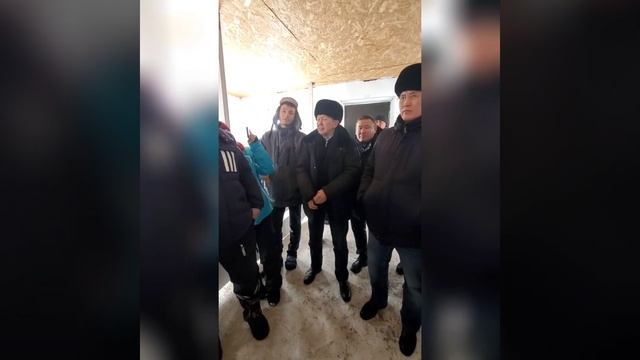 Қойды жылына 2-3 рет қалай төлдетуге болады? Қазақ ғалымдарының селекция жүргізудегі жетістіктері