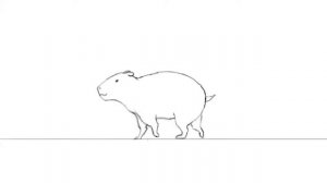 Capybara walk cycle