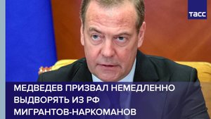 Медведев призвал немедленно выдворять из РФ мигрантов-наркоманов