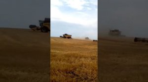 Косили комбайны на поле.Страшно