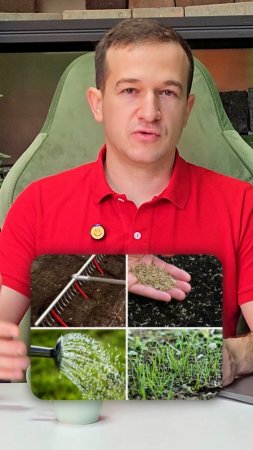 Посевной или рулонный? Какой газон выбрать🤔