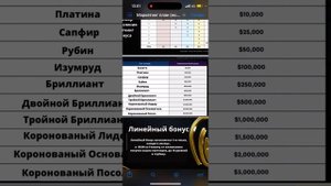 Маркетинг «Yes Global» за 7 минут