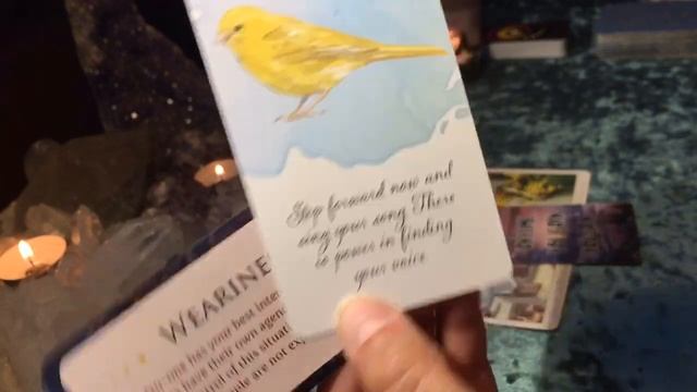 A SPECIAL MESSAGE FOR YOU TODAY ✨ PICK A CARD READING ✨