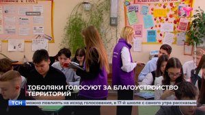 Тоболяки голосуют за благоустройство территорий