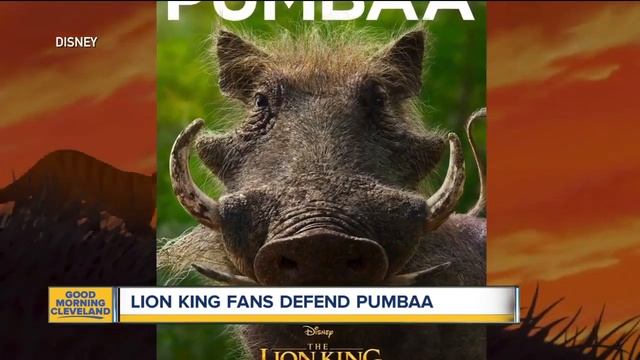 Lion King fans defend Pumbaa смотреть онлайн