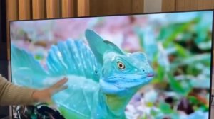 БЮДЖЕТНЫЕ ТЕЛЕВИЗОРЫ 50 ДЮЙМОВ