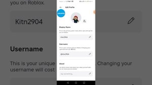 XRecorder_29012025_220851.mp4