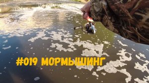 #019 Мормышинг по низкой воде