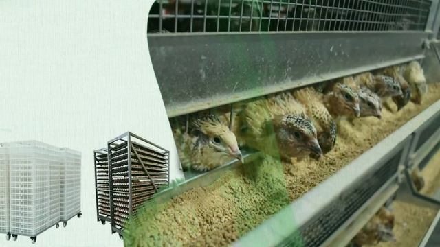 START YOUR BUSINESS WITH US смотреть онлайн