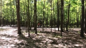 Безобразие в лесопарке Кусково