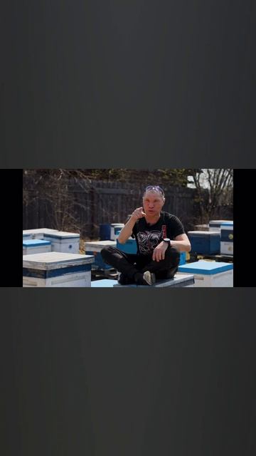 Олег Монгол приехал к нам на пасеку Солондаевых после пожара. Готовиться к бою с Отаром Кушиношвили