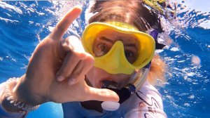 😱НЕВЕРОЯТНО‼️ДОЛЖЕН ВИДЕТЬ КАЖДЫЙ | ТОЛЬКО ЗДЕСТЬ 📍СОТНИ ДЕЛЬФИНОВ 🐬| ДИКАЯ КОСТА РИКА