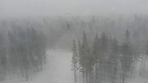 Пурга в Сургуте.