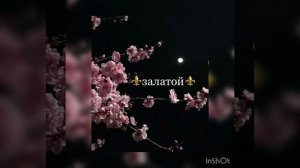 Вычёрав 2021 цыганская песня новая 🖖🍃