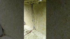 Готовим ферментатор